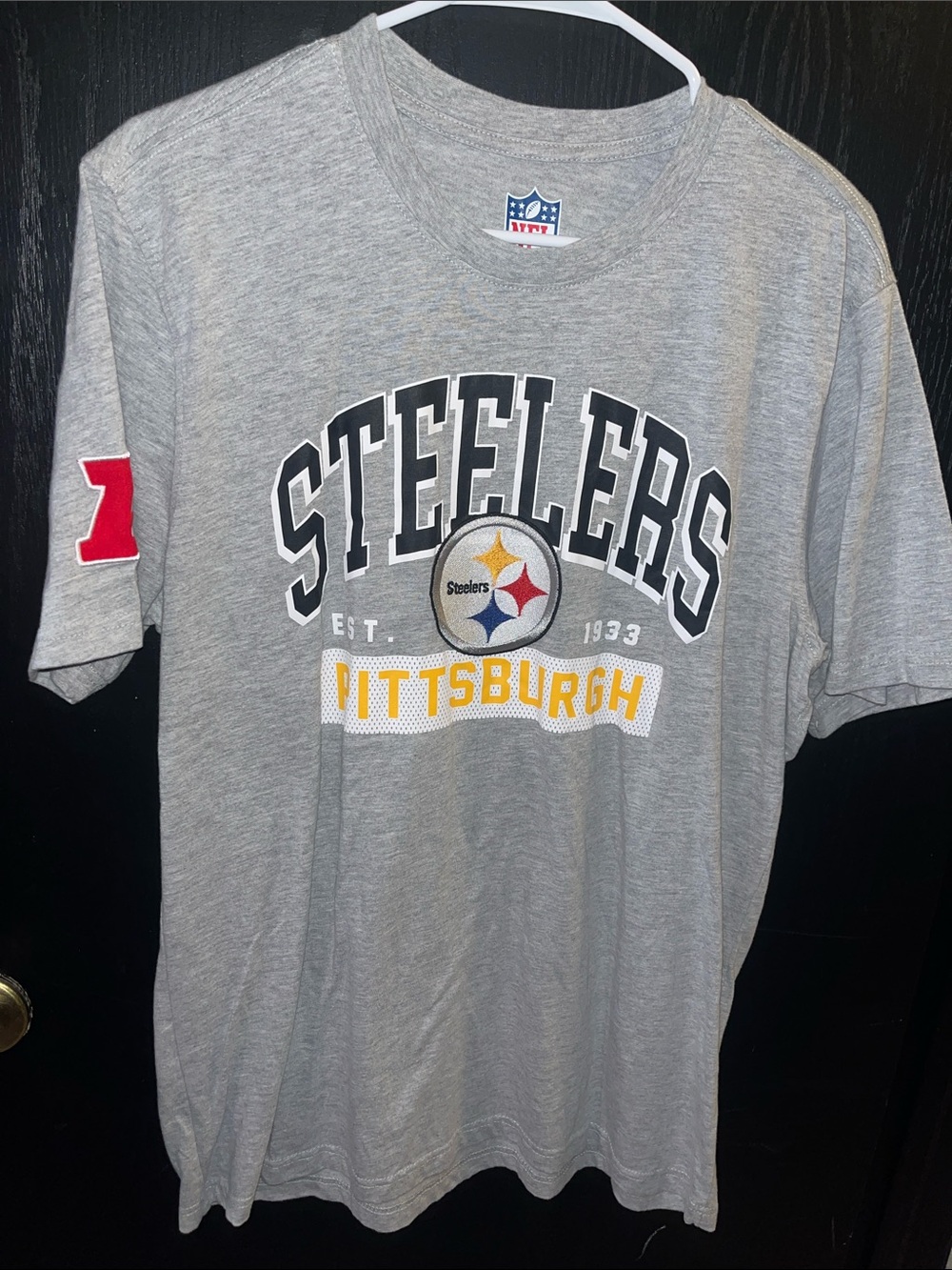 NFL Pittsburgh Steelers Grey Team Logo Tee